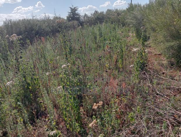 Virgin Parcel of Land for Sale - thumbnail 6