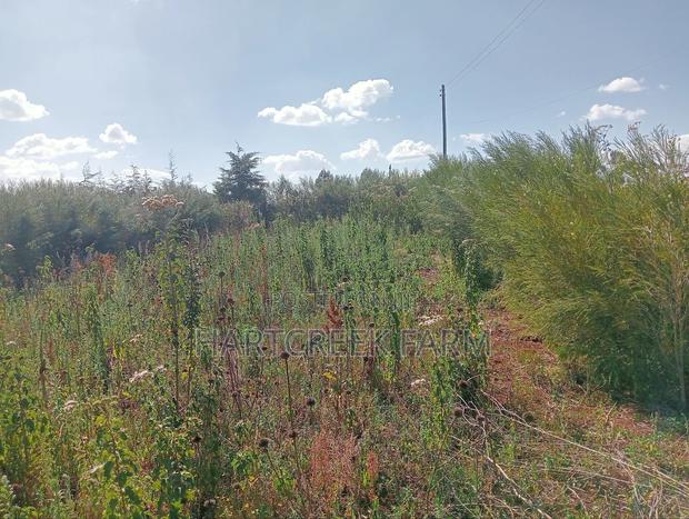 Virgin Parcel of Land for Sale - thumbnail 8