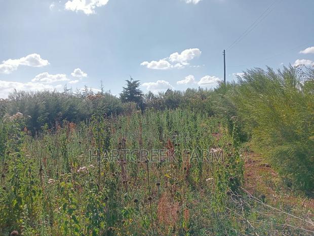 Virgin Parcel of Land for Sale - thumbnail 9