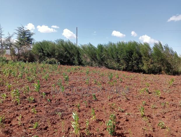 Virgin Parcel of Land for Sale - thumbnail 10