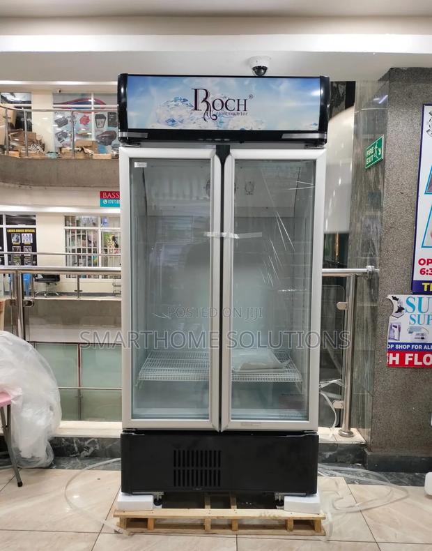 Roch Rsf-680-o 505l Side-by-side Vertical Showcase Fridge: Optimal St