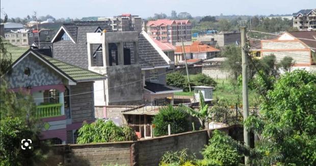 Membley 100 by 100 Plot - main view