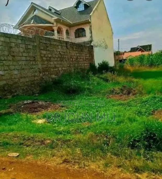 Membley 100 by 100 Plot - thumbnail 3