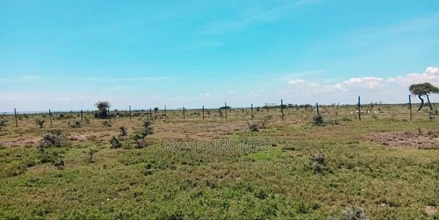 Nanyuki Plots for Sale - thumbnail 4