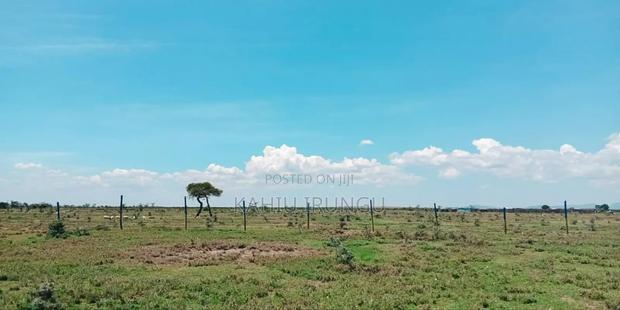 Nanyuki Plots for Sale - thumbnail 5