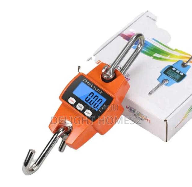 300kgs Mini Crane Scale-Dv - main view