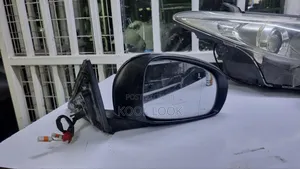 Mark X 2010 Sidemirror