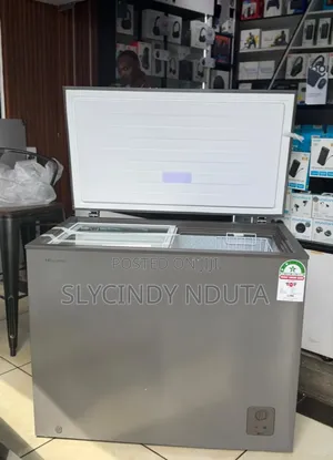 Hisense Chest Freezer Fc245sh