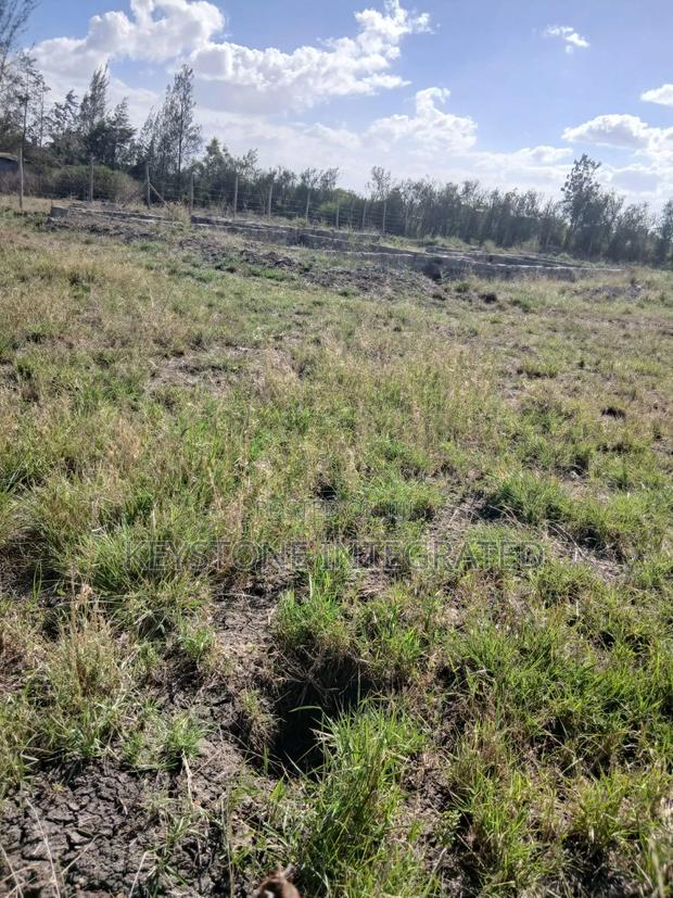 Katani Plots for Sale - main view