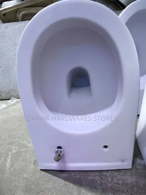 Wall Hung Toilet