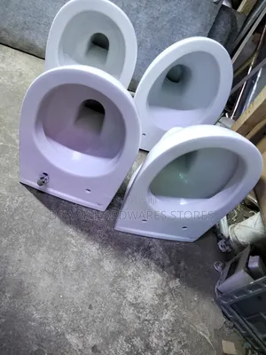 Wall Hung Toilet