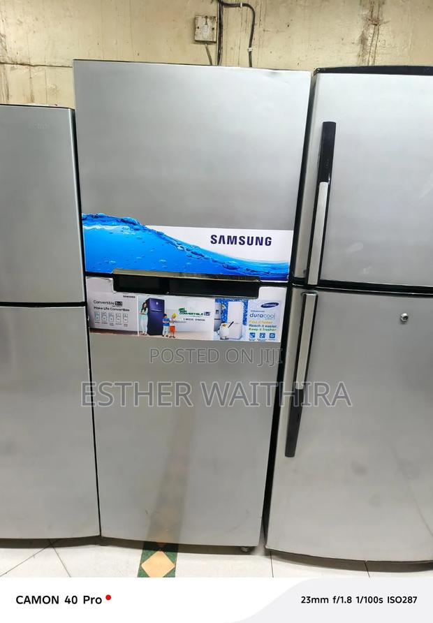 Inverter Silver Fridge With Smart Inverter