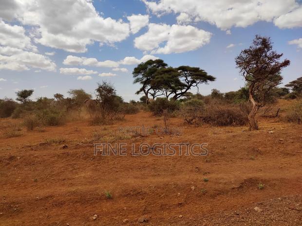 5 Acres Land in Kajiado 50 M From the Main Road