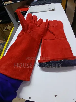 Padded Palms Gloves Leather