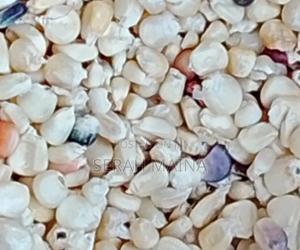 Mukula Otuko - main view