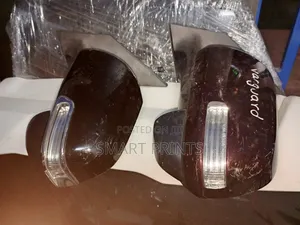 Genuine Ex Japan Toyota Vanguard Side Mirrors Available