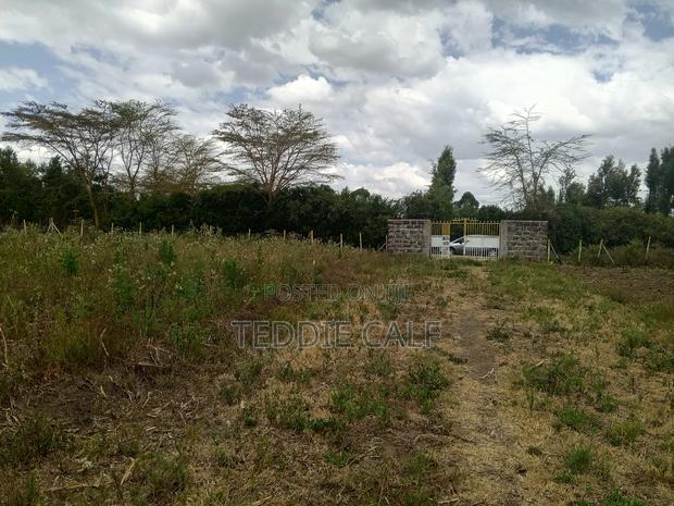 50*100 Plot - main view