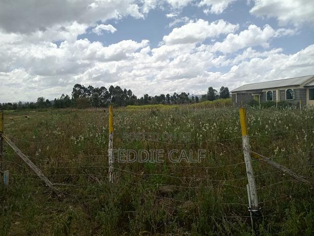 50*100 Plot - thumbnail 2