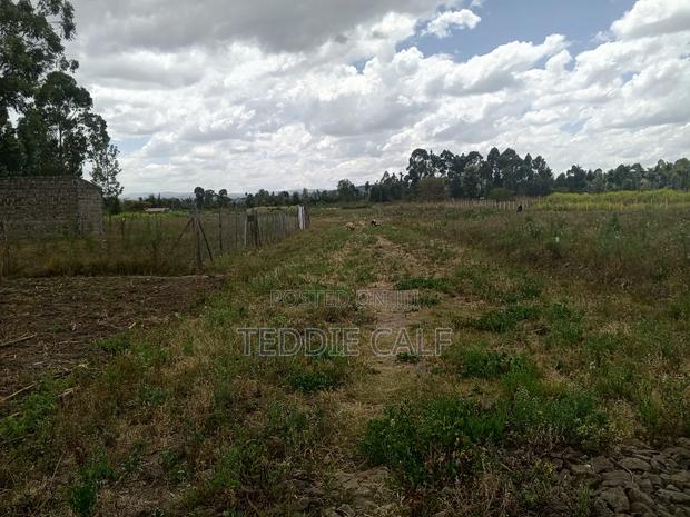 50*100 Plot - thumbnail 4