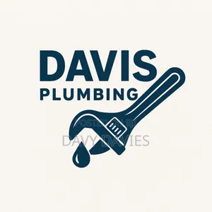 Davis Plumbing and Rooter Service