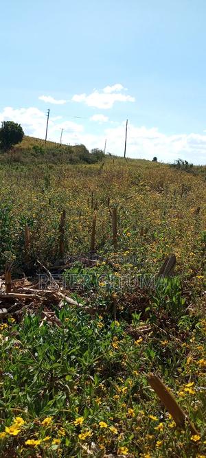 1/4 Plot for Sell - thumbnail 2