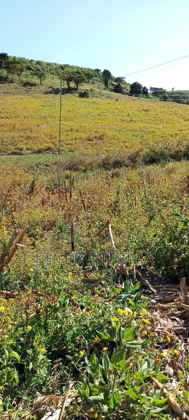 1/4 Plot for Sell - thumbnail 3