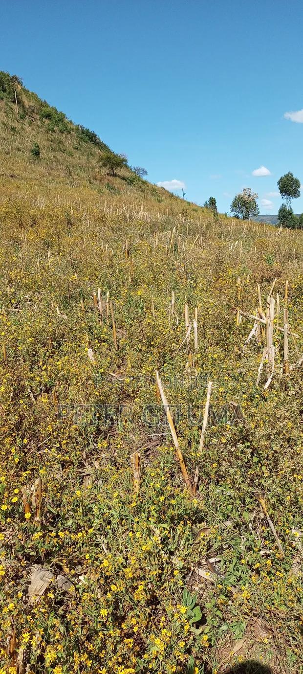 1/4 Plot for Sell - thumbnail 4