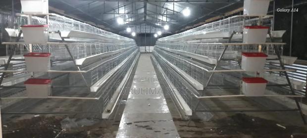Chicken Cages