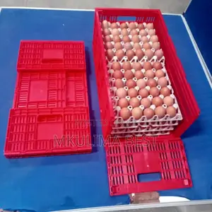 Eggs Transport Crates