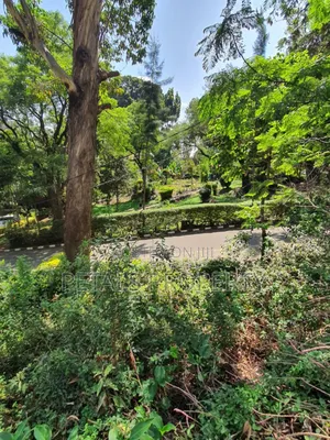 1 Acre for Sale in Upperhill