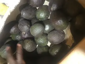 Ripe Hass Avocados
