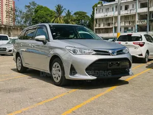Toyota Corolla Fielder 2019 Silver