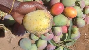 Fresh Mangoes - main view