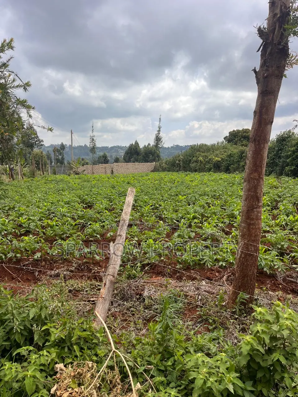 Kikuyu Plot for Sale