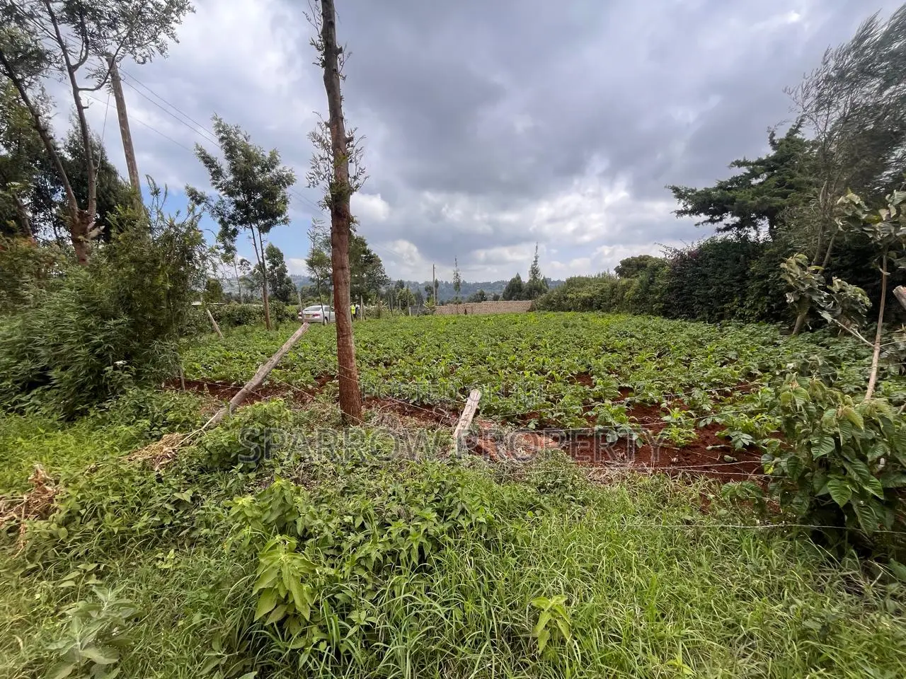 Kikuyu Plot for Sale