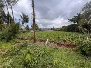 Kikuyu Plot for Sale
