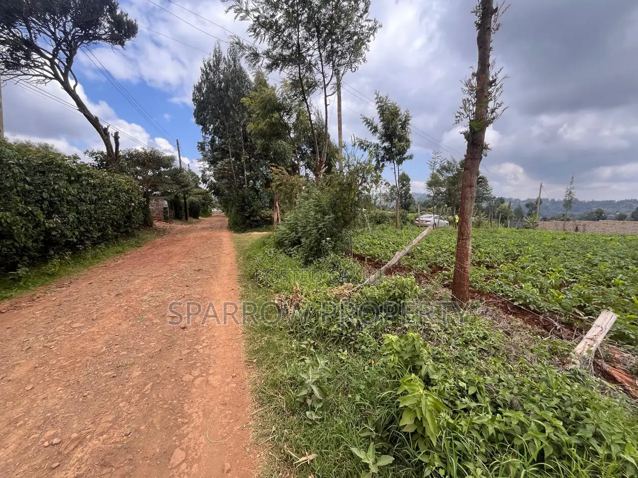 Kikuyu Plot for Sale
