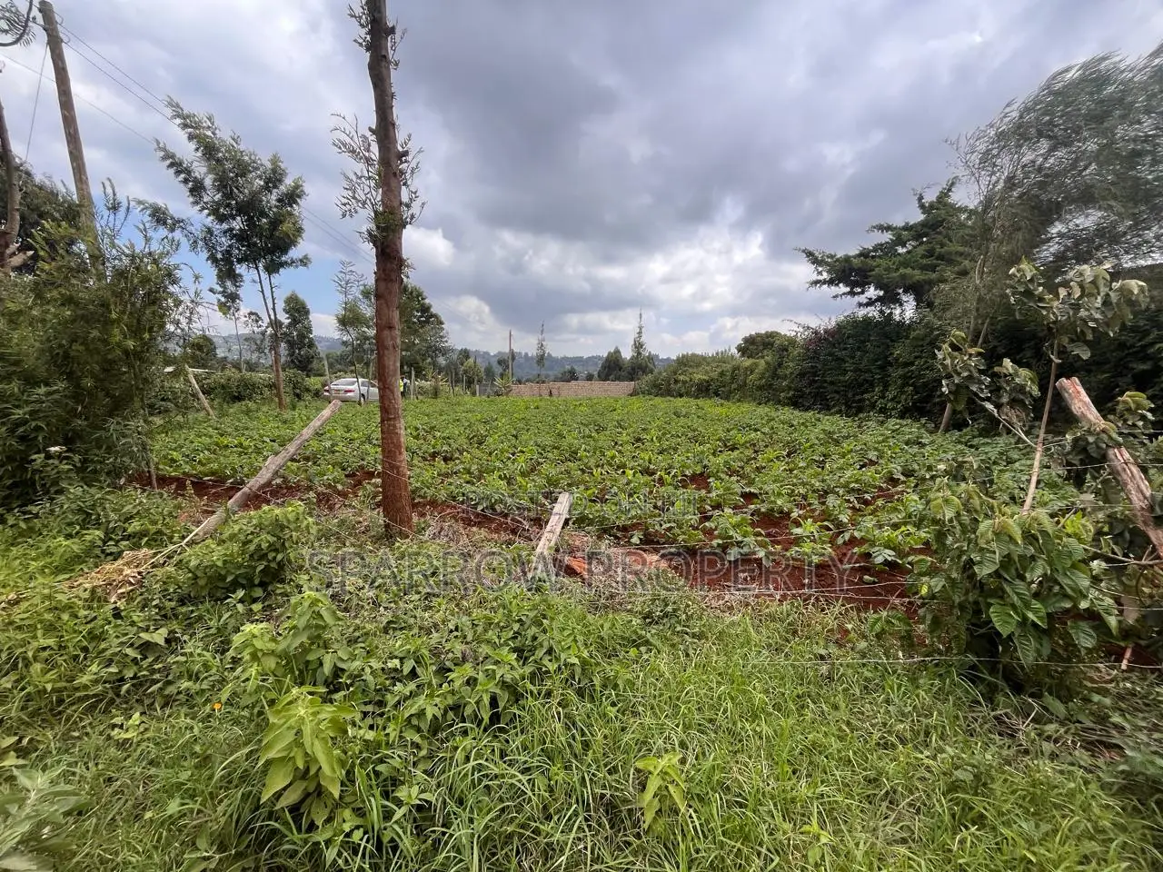 Kikuyu Plot for Sale