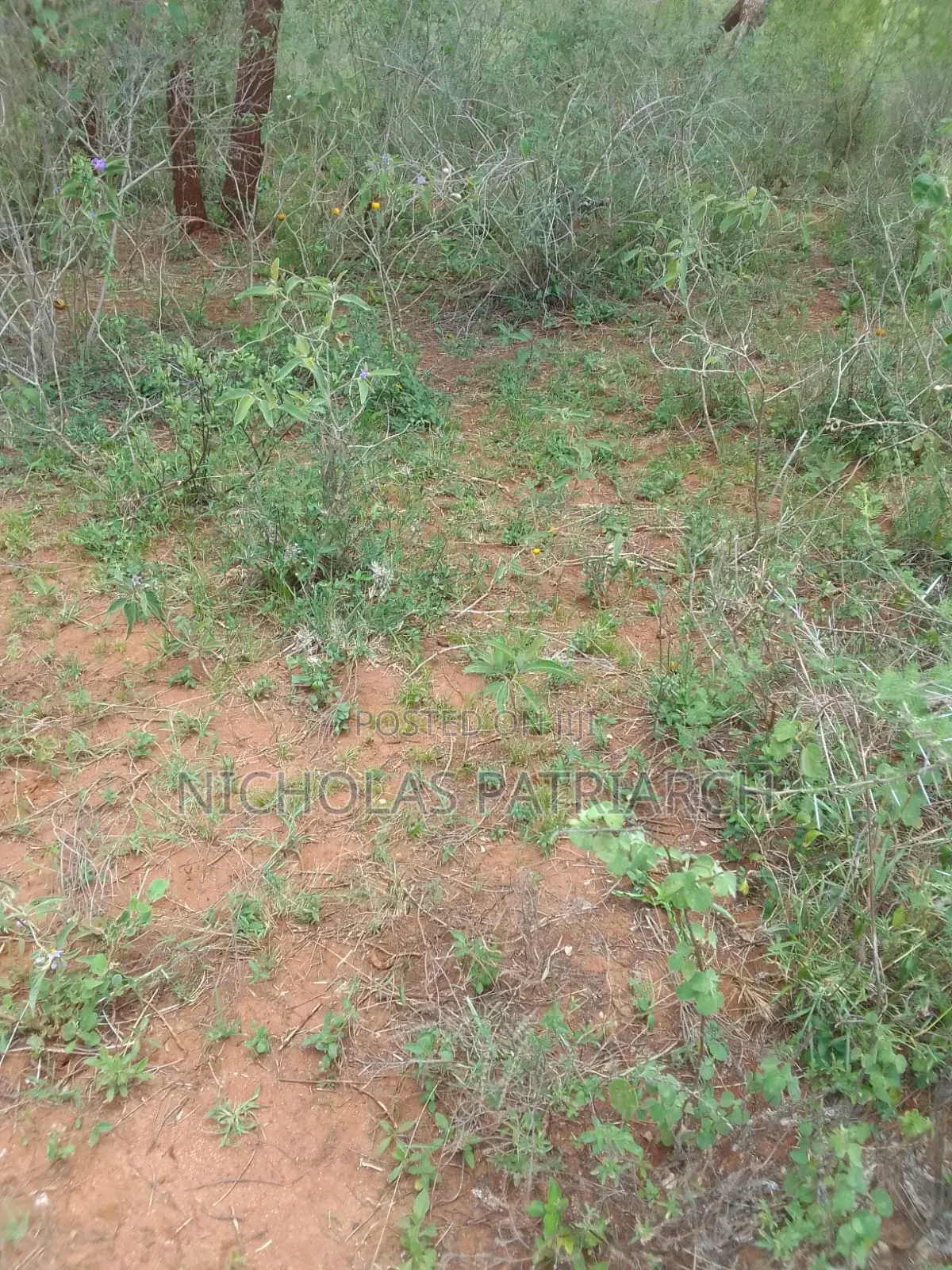 3 Acres Wamunyu -Machakos County Seliing at Per Acre