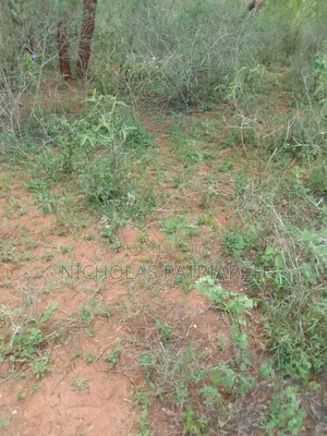 3 Acres Wamunyu -Machakos County Seliing at Per Acre