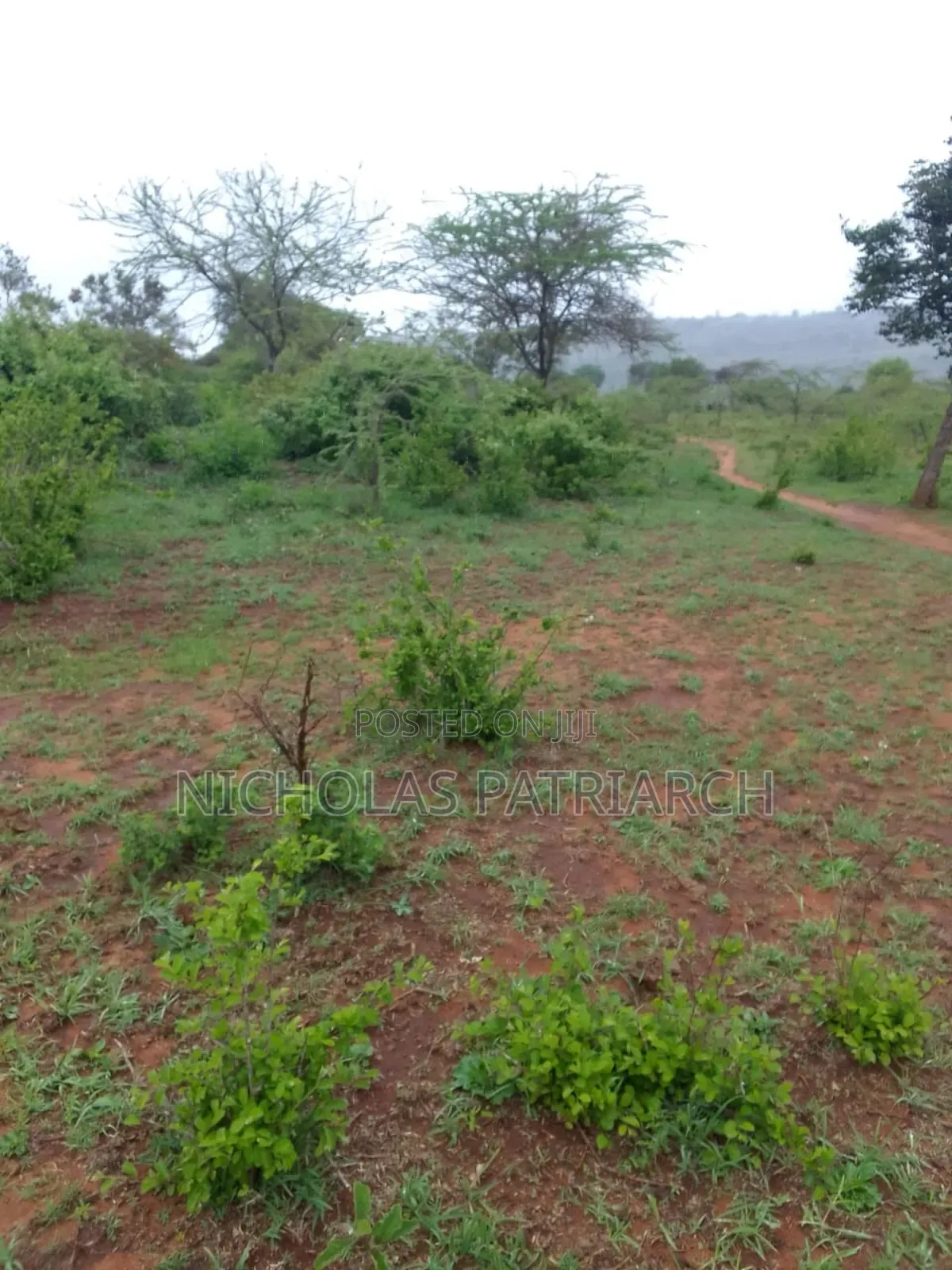 3 Acres Wamunyu -Machakos County Seliing at Per Acre