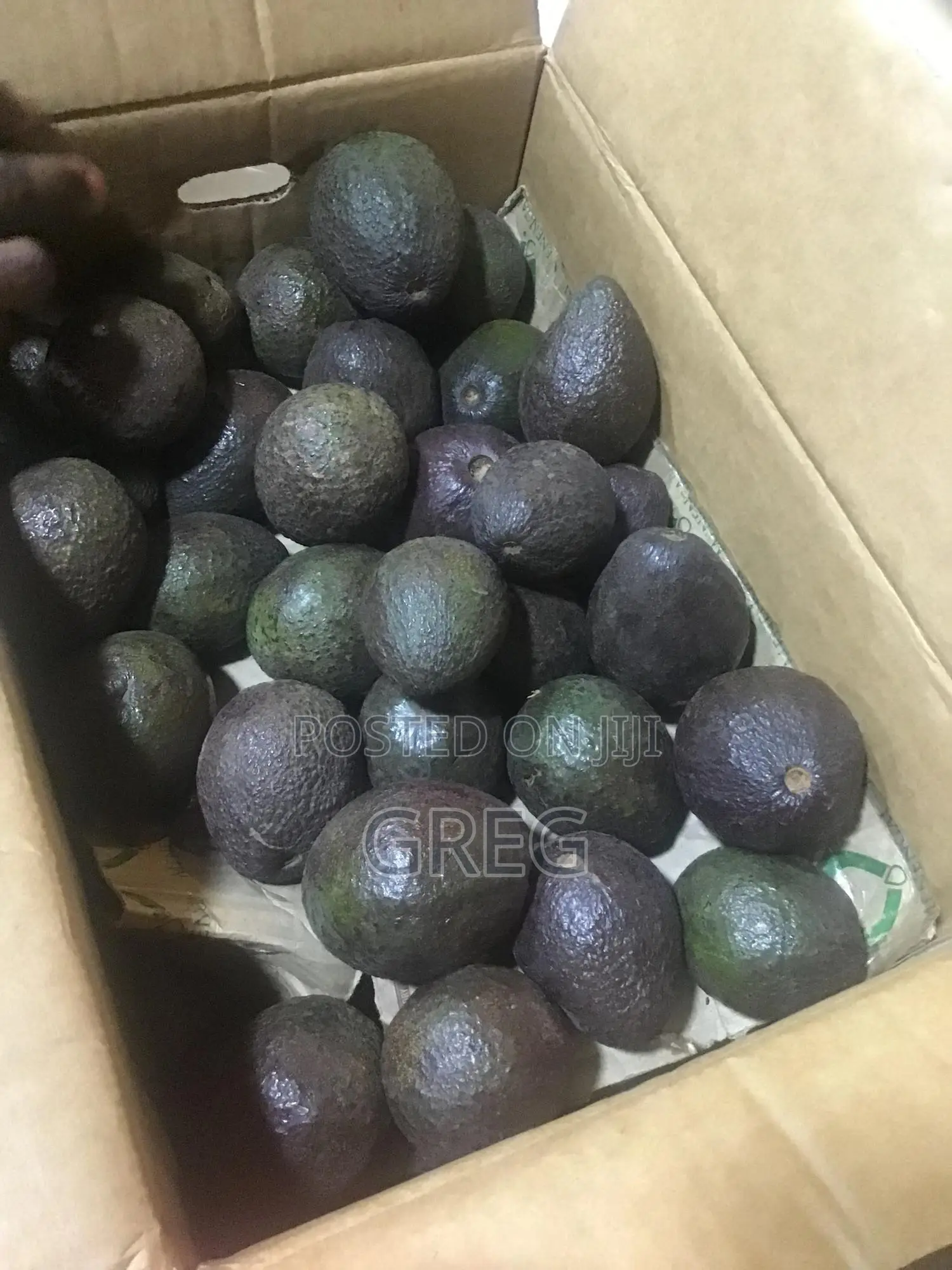 Ripe Hass Avocados