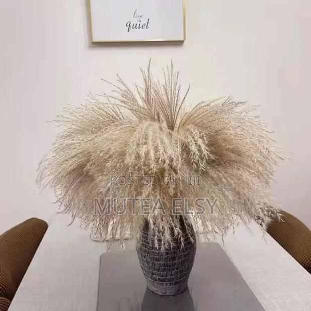 Natural Dried Reed Decorative Mini Pampas Grass - main view