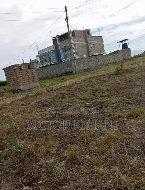 Plot 40by 60 - main view