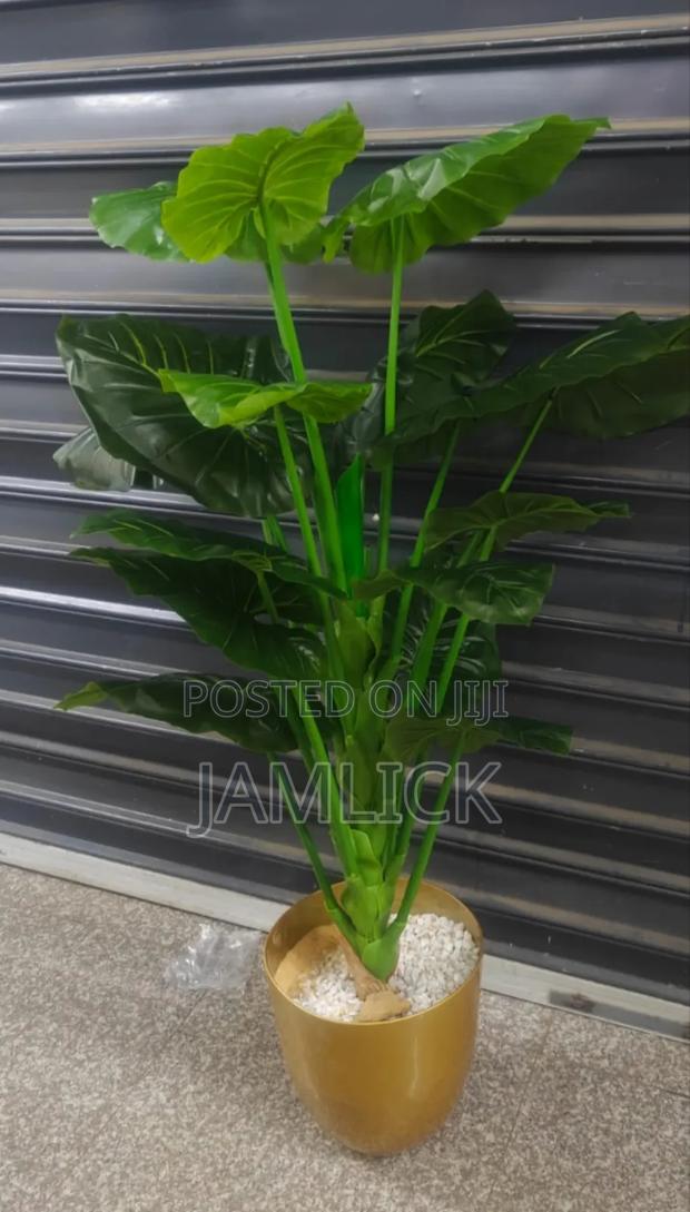 1.6m Artificial Plant With Vase – Complete Home Décor –Cd - thumbnail 3