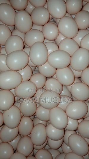 Dummy/Egg-Shaped Art Objects Also Used in Chicken Husbandry - main view