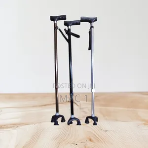 Stability Walking Stick