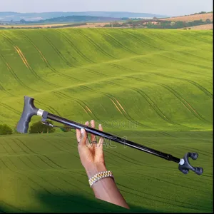 Quality Walking Stick