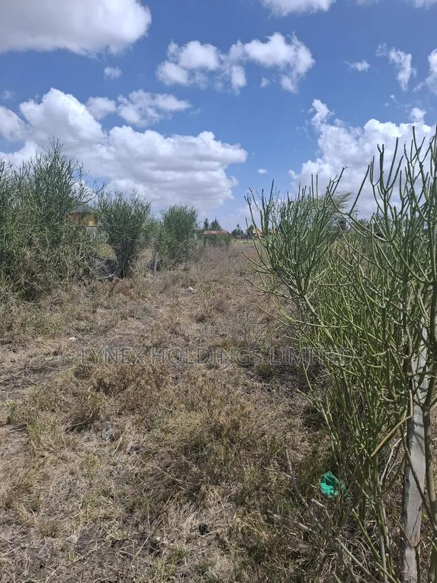 Prime 1/4 Acre Land for Sale in Ruai - thumbnail 4