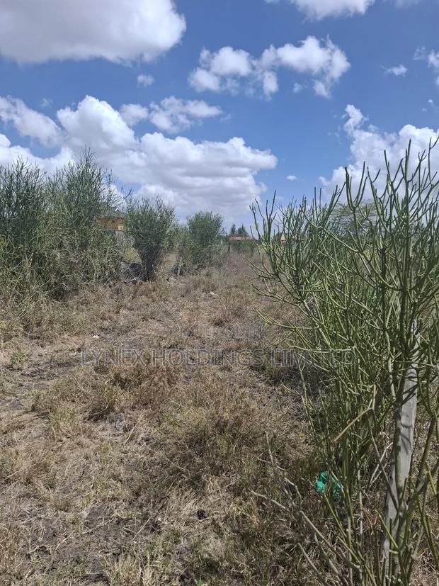 Prime 1/4 Acre Land for Sale in Ruai - thumbnail 5